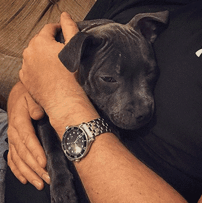Adoption
