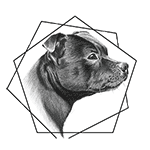 Staffordshire Bull Terrier Rescue South Africa